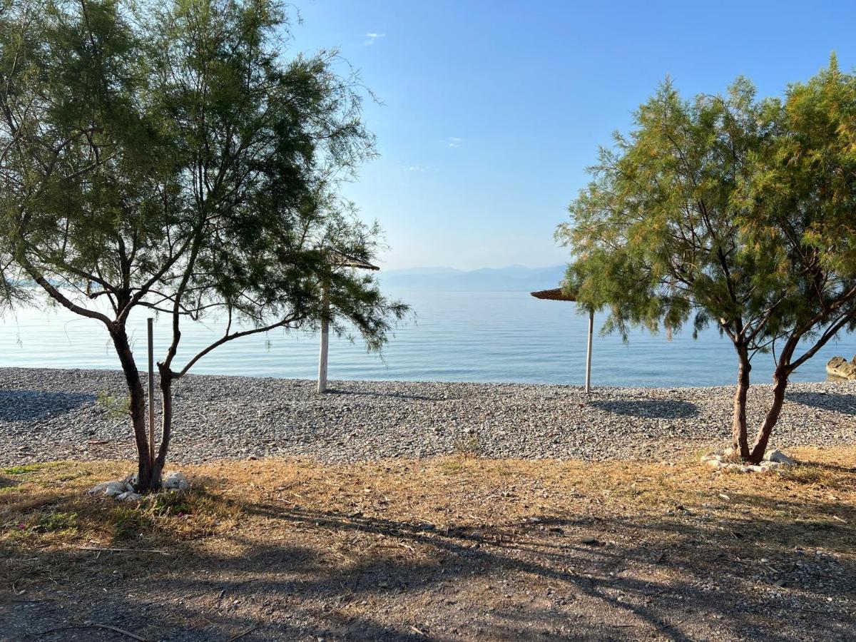 Pebble Apartments Μαραθιάς Εξωτερικό φωτογραφία